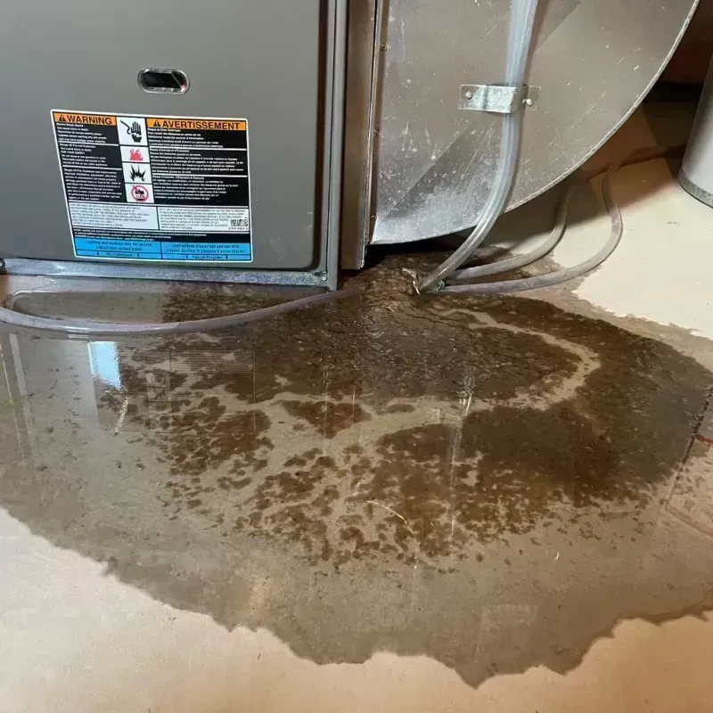 Appliance Leak Cleanup in Richwood, WV